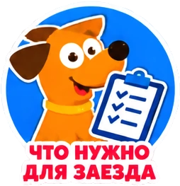 Что нужно для заезда