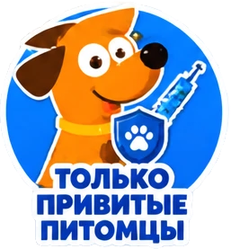 Только привитые питомцы