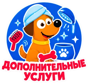 Дополнительные услуги