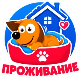 Проживание