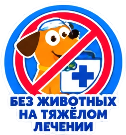 Без животных на тяжёлом лечении