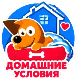 Домашние условия